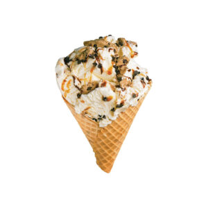 Cold Stone Creamery Cookie